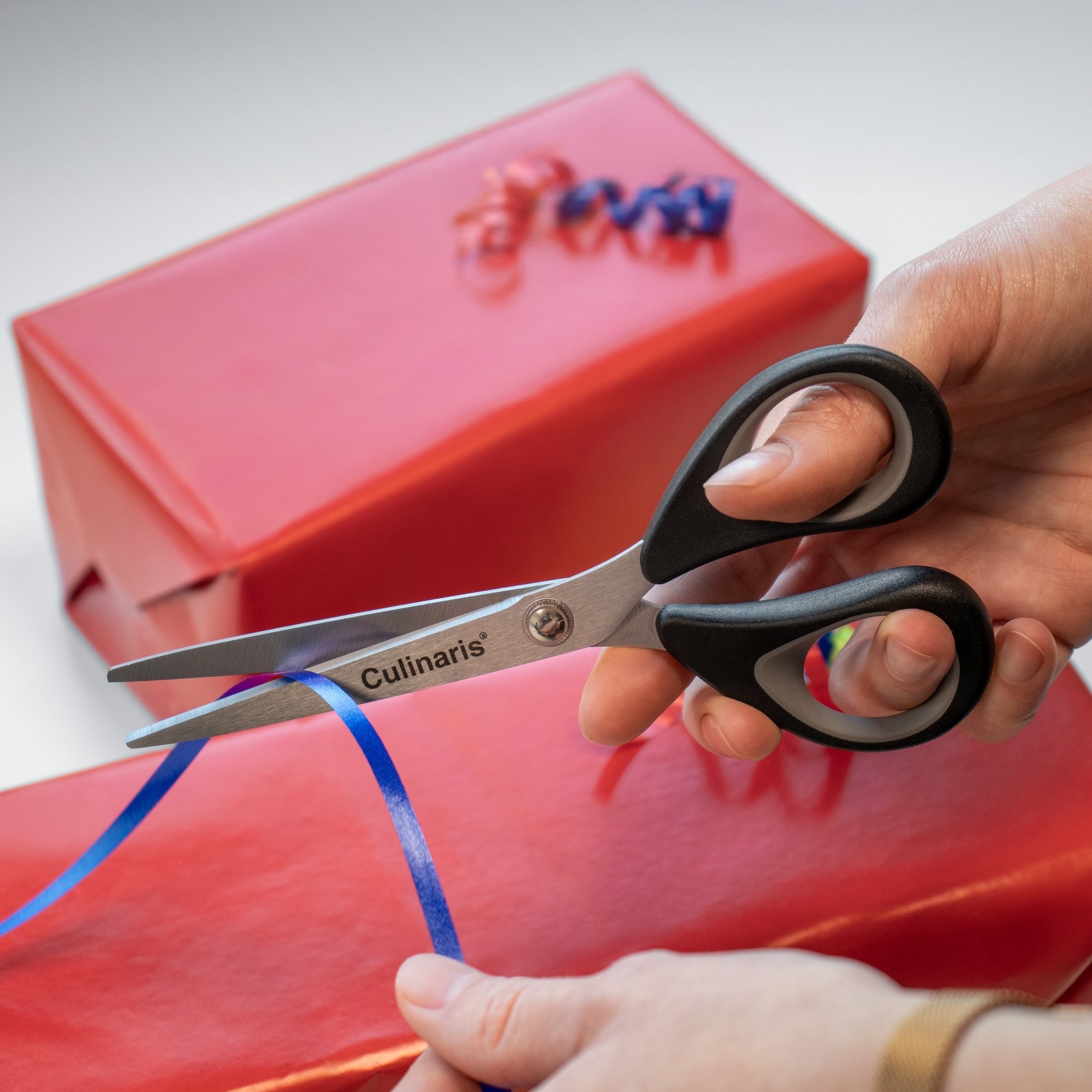 Kleine Haushaltsschere - CORTARIO | Culinaris