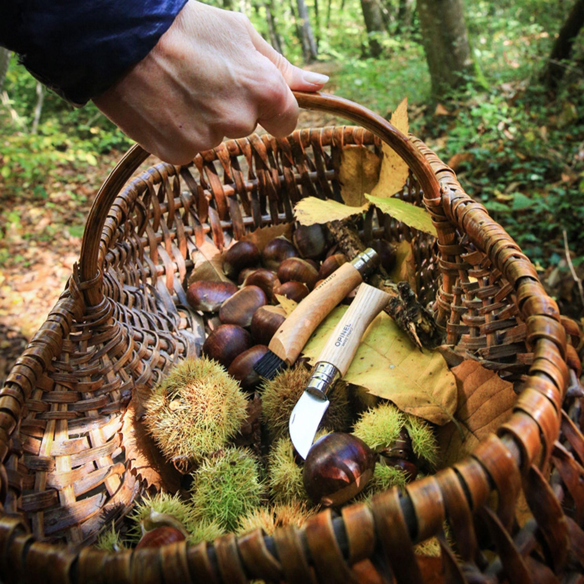 Opinel - Mushroom knife with brush No 08 - 20 cm - nature