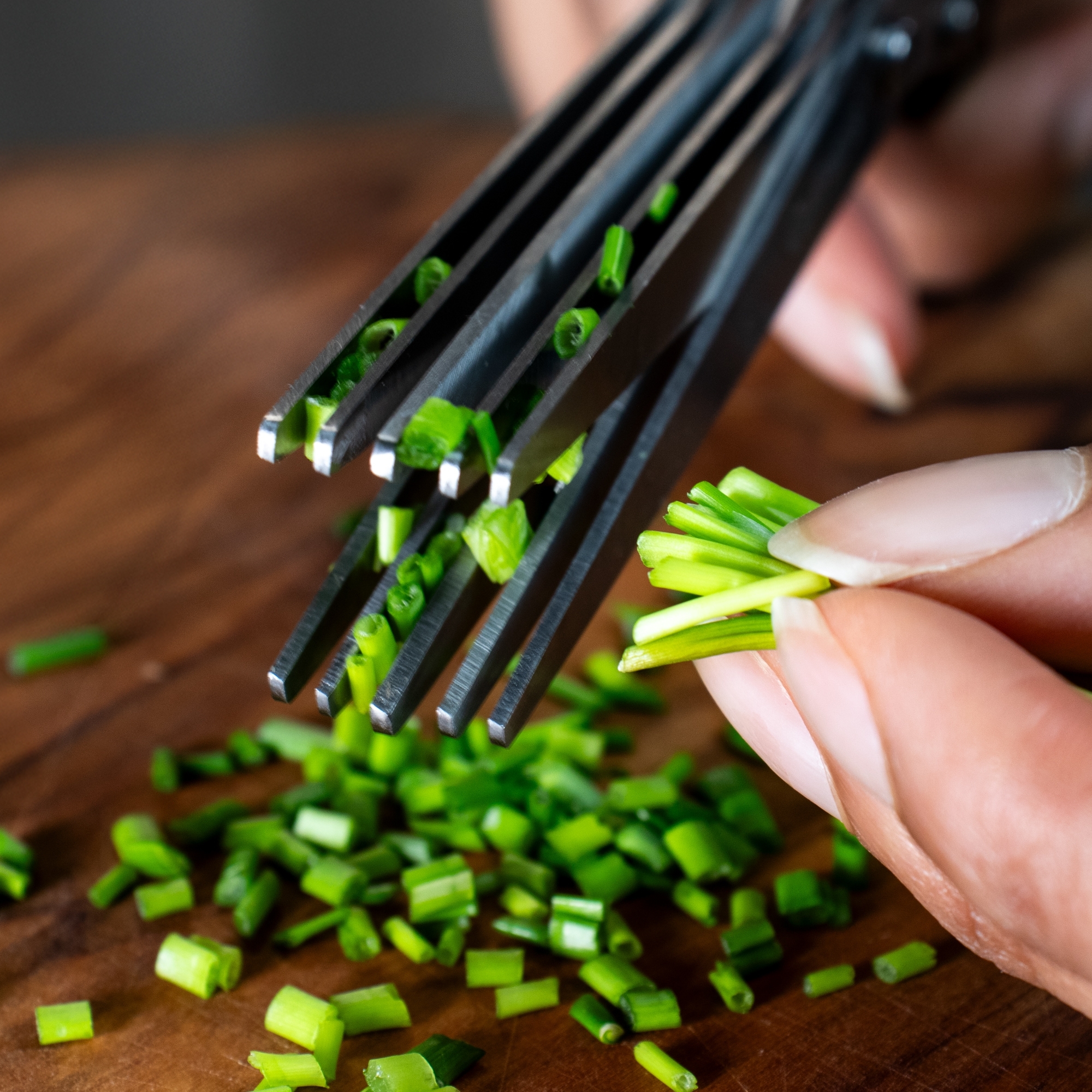 Kräuterschere ERVASO, 5 Klingen, Edelstahl, Culinaris